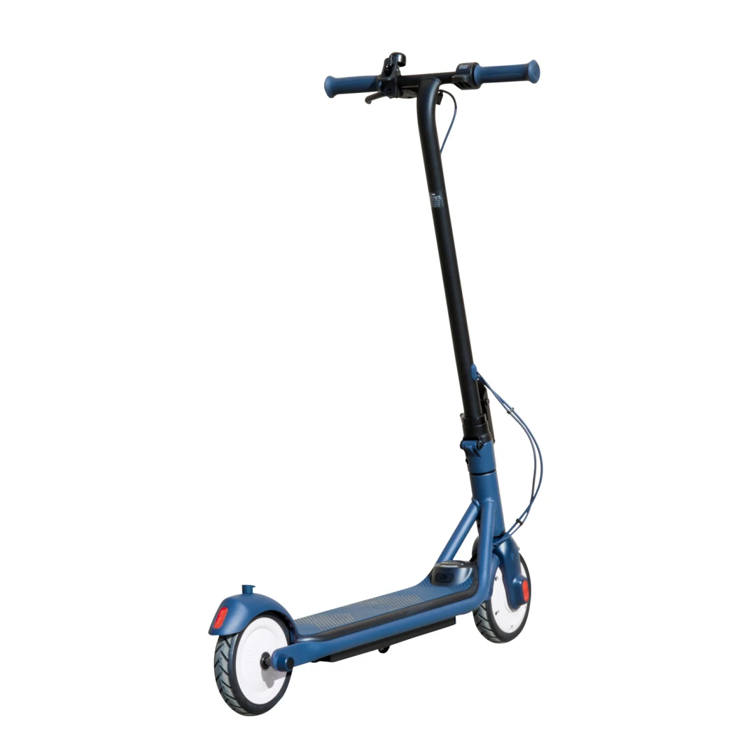 10 Inch Larger Motors Light Stand Adult E Scooter 1300W