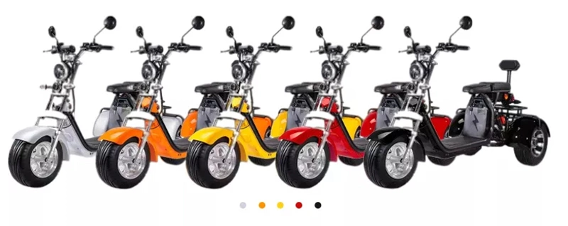 Three Wheel Electric Tricycle Motorcycle Electric Scooter Electric Bike EEC Citycoco Electric Vehicle Dirt Bike Mobility Scooter E Scooter 1500W 60V 20ah