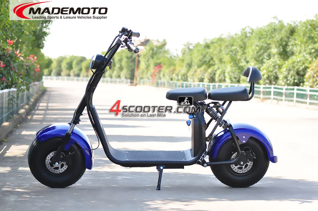 1500W 2000W 3000W Long Range 60 Volt Two Wheels Trotinette Electric Scooter