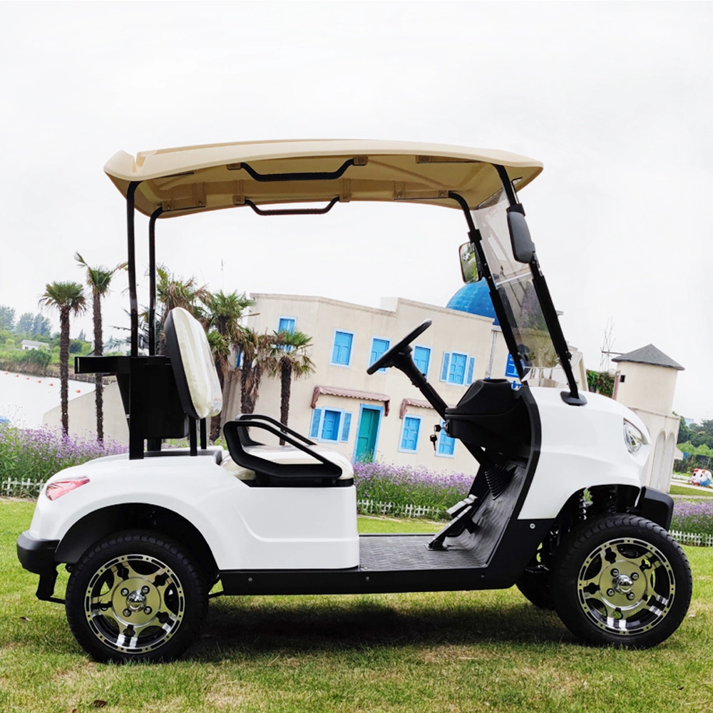 Factory Direct Sales 4000W Electrical Car Folding Electric Golf Carts 2 Seat White Electric Scooter