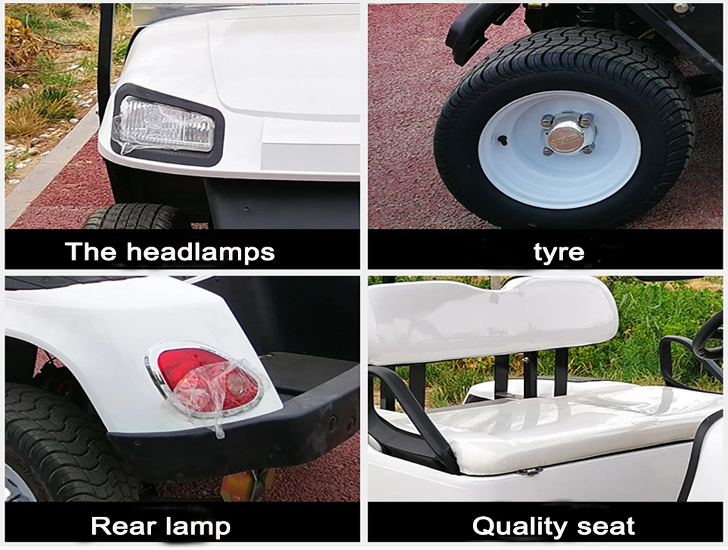 Scooter Electric Tricycle 3000W 60V 21ah Tricycle Ideal for Golf Cart