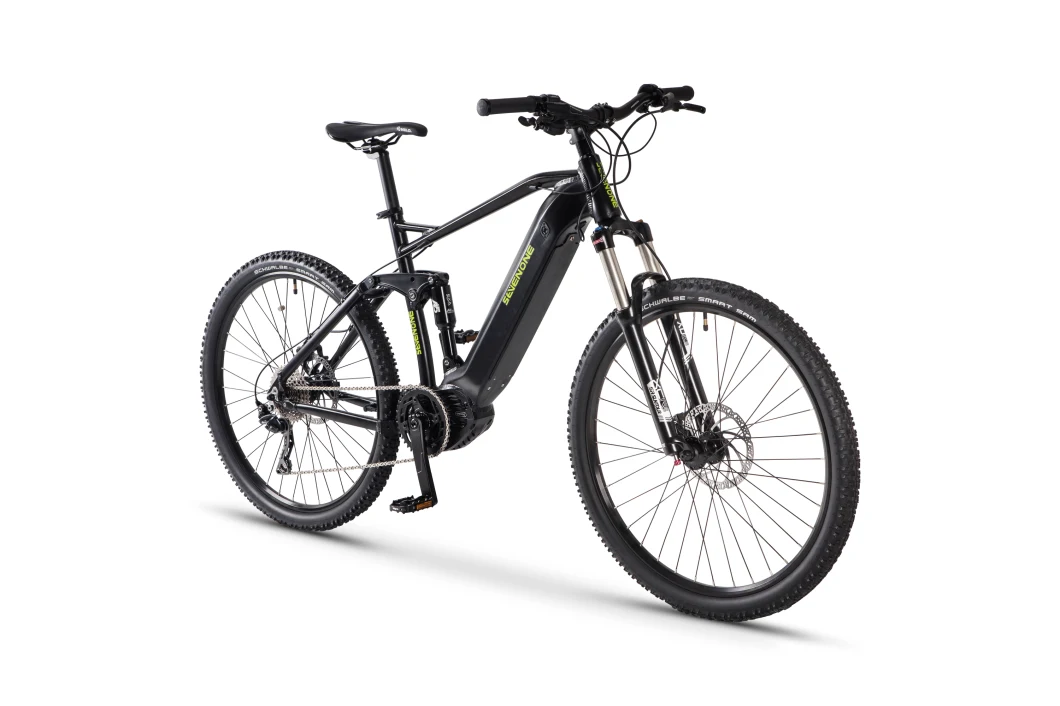 Bafang Maxdrive Motor Adult Mountain Electric Bicycle with Full Suspension