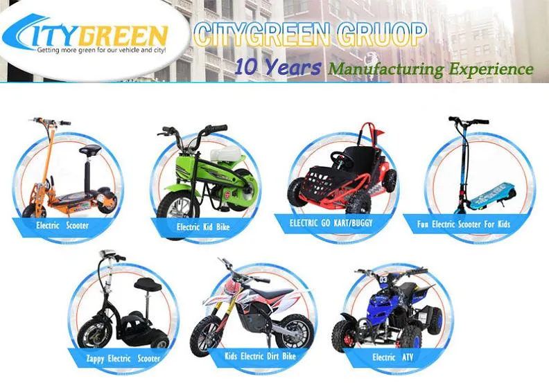 Powerful Green Electric Scooter with 01- 60V 2000watt Brushless Motor