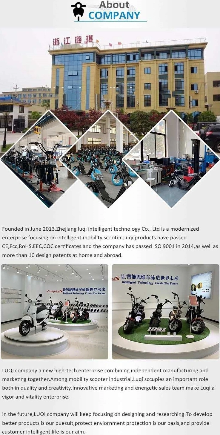 2019 Hot Selling Double Suspensions Light Weight Private Model Electric Citycoco with Big Discount