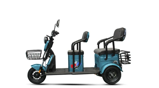 2023 Venta directa de fábrica Etrike eléctrico para adultos Ocio Triciclo de carga eléctrico Tener asientos para niños Uso diario familiar Compras Scooter eléctrico de tres ruedas