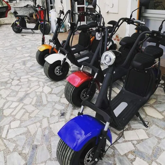 Scooter eléctrico Citycoco EEC Coc 1500W 2000W 60V 12ah 20ah Batería de litio Scooter de movilidad eléctrica Adulto Dos ruedas Scooter eléctrico Almacén de la UE Existencias