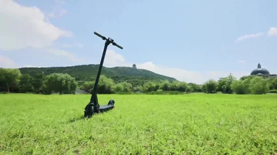 Fd05 tamaño pequeño ruedas pequeñas scooters eléctrico scooter eléctrico barato