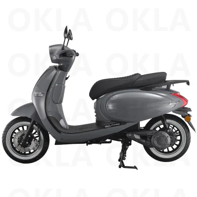 Vespa eléctrica del módulo adulto simple más rápido gris de Ebike