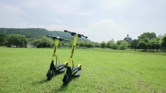 Velocidad 29km de buena calidad con estilo amarillo-negro scooter eléctrico plegable