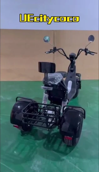 Triciclo de motocicleta de alta calidad 60V 20ah voltaje tres ruedas neumático gordo Scooter Eléctrico Citycoco para adultos